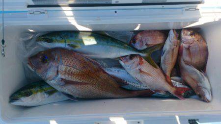 遊漁船 家入 釣果