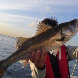 THESEAMAN(ザシーマン) 釣果