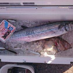 海龍丸（石川） 釣果