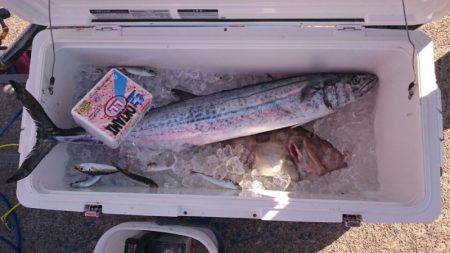 海龍丸（石川） 釣果