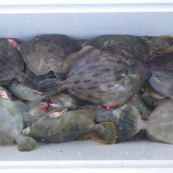 フィッシング　キッタカ 釣果