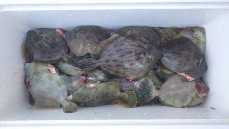 フィッシング　キッタカ 釣果