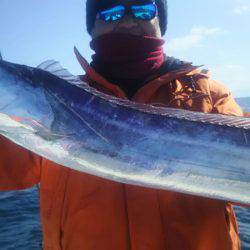 サンマリン 釣果