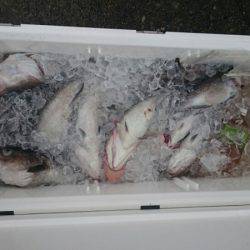 海龍丸（石川） 釣果