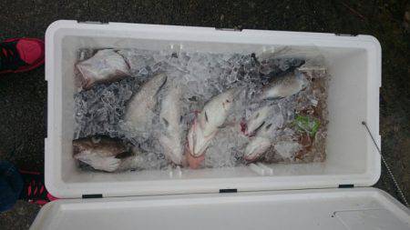 海龍丸（石川） 釣果