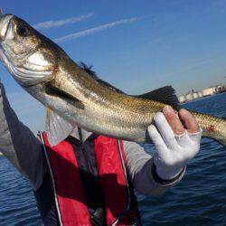 THESEAMAN(ザシーマン) 釣果