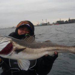 THESEAMAN(ザシーマン) 釣果