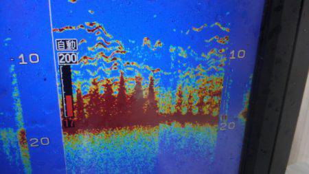 THESEAMAN(ザシーマン) 釣果