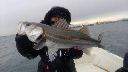 THESEAMAN(ザシーマン) 釣果