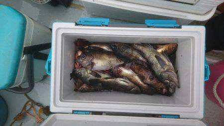 フィッシング キッタカ 釣果