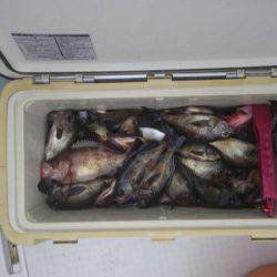 フィッシング キッタカ 釣果