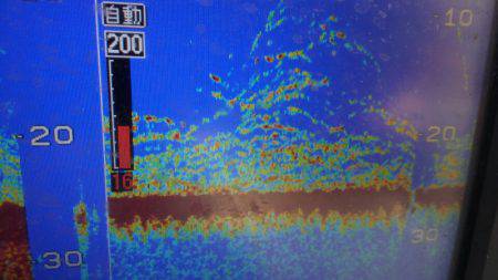 THESEAMAN(ザシーマン) 釣果