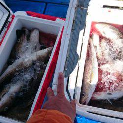 海龍丸（石川） 釣果