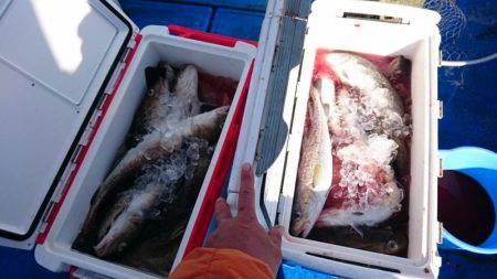 海龍丸（石川） 釣果