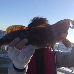 THESEAMAN(ザシーマン) 釣果