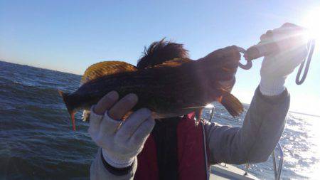 THESEAMAN(ザシーマン) 釣果