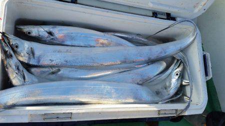 金沢八景鴨下丸 釣果