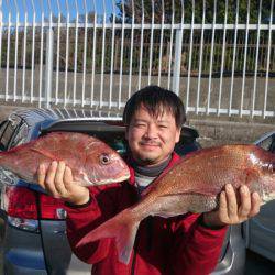 だて丸 釣果