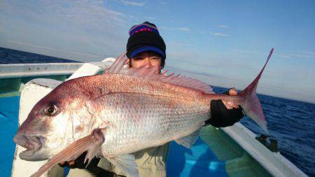 だて丸 釣果