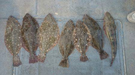 FISHING RISKY 釣果