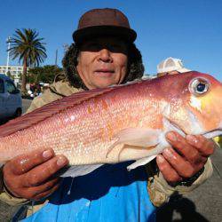 島きち丸 釣果
