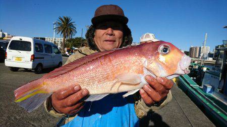 島きち丸 釣果
