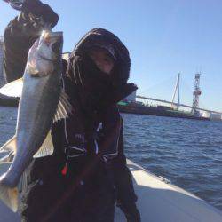 THESEAMAN(ザシーマン) 釣果