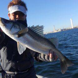 THESEAMAN(ザシーマン) 釣果