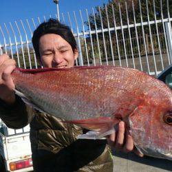 だて丸 釣果