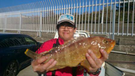 だて丸 釣果