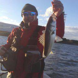 THESEAMAN(ザシーマン) 釣果