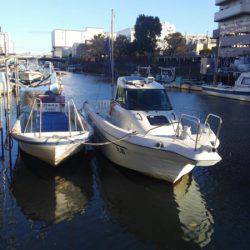 THESEAMAN(ザシーマン) 釣果