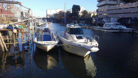 THESEAMAN(ザシーマン) 釣果