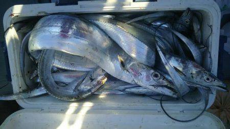 サンマリン 釣果