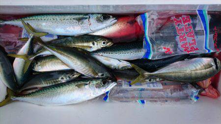 あみや渡船 JIGBOY 釣果