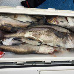 海龍丸（石川） 釣果