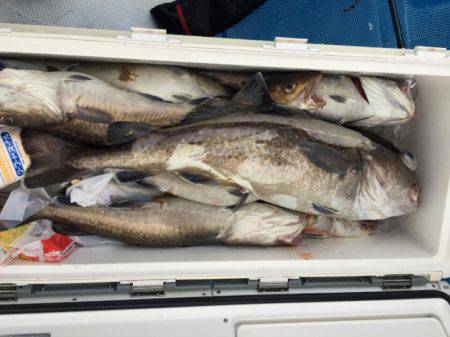 海龍丸（石川） 釣果