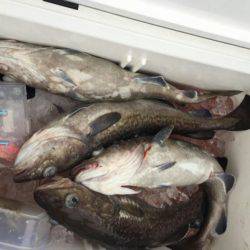 海龍丸（石川） 釣果