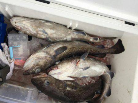 海龍丸（石川） 釣果