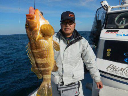 きずなまりん 釣果