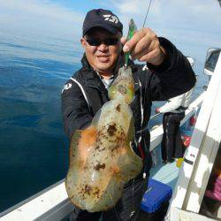 きずなまりん 釣果