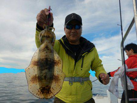 きずなまりん 釣果