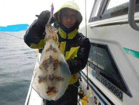 きずなまりん 釣果