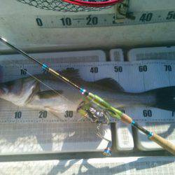 海龍丸(島根) 釣果