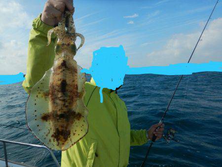 きずなまりん 釣果