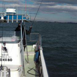 天祐丸 釣果