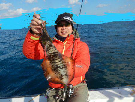 きずなまりん 釣果