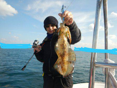 きずなまりん 釣果