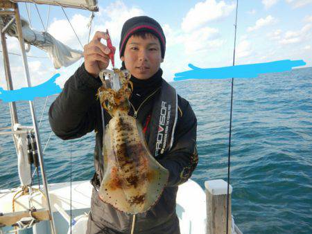 きずなまりん 釣果