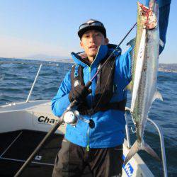 Chase(チェイス) 釣果